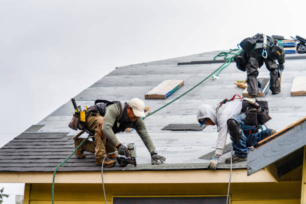 Professional Gutter Installation technician working in La Center, WA